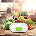 YOHOOLYO Electric Lunch Box Food Heater Portable Food Warmer 110V Home Use with Removable Stainless Steel Container Food Grade Material