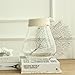 Noah Decoration Hand-Blown and Handmade Hemp Rope Clear Glass Transparent Flower and Filler Vase for Home and Wedding Indoor and Outdoor Decoration Size Medium