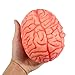 ONEDONE Soft Bloody Brain for Halloween Party Fake Human Brain Body Parts Horror Halloween Prop Pranks Stage Props Haunted House Decoration