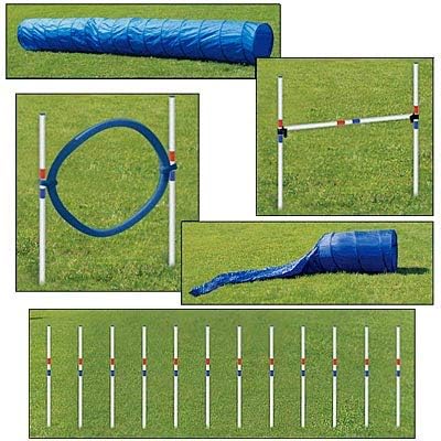 Jeffers Pet 5 Piece Dog Agility Equipment