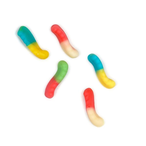 THE HAMPTON CANDY COMPANY TINY BABY ASSORTED GUMMY WORMS, 1LB BULK BAG