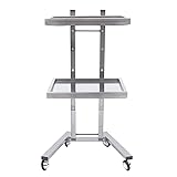 2-Tier Metal Rolling Cart, Stainless Steel Salon