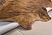 rodeo Genuine Cowhide Rug - Real Cow Hide Rug Large for Living Room & Bedroom - Western Rugs for a Natural Western Home Decor Ambiance - Rustic Cow Print Carpet Decor - 7x8 ft, Brindle