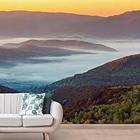 Wall Mural Foggy Forest Removable Self-Adhesive Wallpaper Wall Decoration for Bedroom Living Room - 66x96 inches