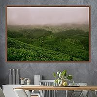 Framed Canvas Wall Art Greenlands Aerial Dark Farmhouse/Country Green Nature Photography Realism Relax/Calm - 16x24 inches