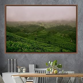 signwin Framed Canvas Wall Art Greenlands Aerial Dark...