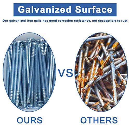 Edvision 610pcs Nails Assortment Kit, 8 Size Galvanized Hardware Nails