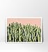 Cactus, Modern Print, Cactus Print, Cactus Art Print, Desert Print, Desert Art, Pink and Green, Art Print, Cacti, Cactus Photography, Southwestern Art, Southwest Print, Desert Print, 8x10 inch