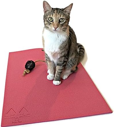 Feline Yogi The Original Yoga Cat Mat Scratch Lounge Mat with Toy (Pink)