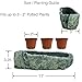 Natural Elements Rock Planter (Trough) – Realistic Woodland-Themed with Intricate Stone Detail + Fiber Soil + Moss Mulch. Grow Small Succulents, Cactus, African Violets. Striking in Any Décor.