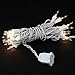 Novelty Lights 8.5 Feet 20 Clear Incandescent Christmas Tree Lights, White String Light Indoor/Outdoor, Vintage Mini Bulbs, UL Listed