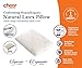 Cheer Collection Natural Latex Pillow Eco-Friendly Ventilated Foam Pillow with Washable Bamboo Cover