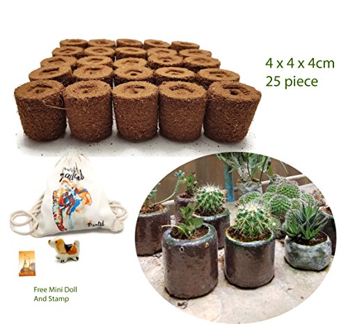 Seed Starter Tray Natural Mineral Powder Spike Fertilizer Lasts 2 Years.Eco-Friendly,Natural,Non-Toxic,Plants Absorb Required Nutrients,All Kind Plants-Faster,Fuller,Rooting Hormone,Hydroponic System