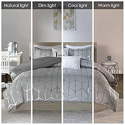 Intelligent Design Raina Full / Queen Comforter