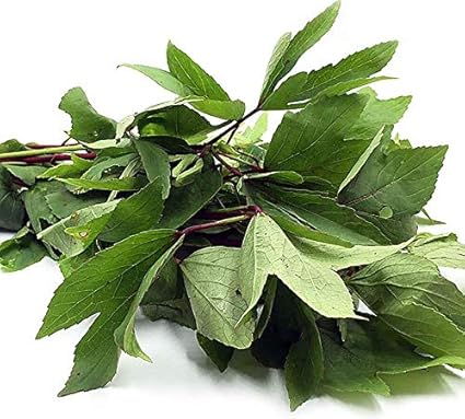 Fresh Gongura, 250 g