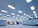 LUXRITE F32T8/765 32W 48 Inch T8 Fluorescent Tube Light Bulb, 6500K Daylight White, 2650 Lumens, G13 Medium Bi-Pin Base, LR20735, 2-Pack