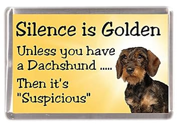 Wire Haired Dachshund Dog Fridge Magnet Silence Is Golden Unless