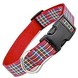 Scottish Plaid Dog Collar, Royal Stewart Tartan, Small, 5/8