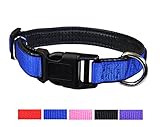 Downtown Pet Supply Plastic Quick Release Dog and Puppy Collar (Blue, Medium)