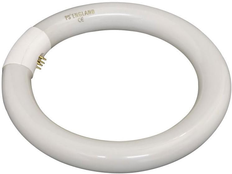 22w 240v Circular Fluorescent Tube G10q Cap 216mm Diameter Amazon.co