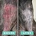 Natural Dog Company Skin Soother, 2oz. Tin, Allergy and Itch Relief for Dogs, Supports Hot Spot Symptoms, Dog Moisturizer for Dry Skin, Dog Lotion, Ultimate Healing Balm, Dog Rash Cream