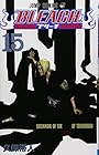 BLEACH -ブリーチ- 第15巻