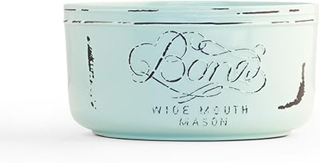 mason jar dog feeder