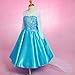 Dressy Daisy Girls' Ice Princess Dress Costume Birthday Halloween Christmas Fancy Party Dresses with Train Size 3T Style A