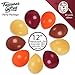 Treasures Gifted Fall Balloons Autumn Colored Balloons 12 Inch Orange Balloons Apricot Balloons Burgundy Balloons Brown Balloons 100 Pack Fall Festival Decorations Thanksgiving Party Decors