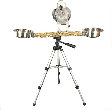 outdoor bird perch stand