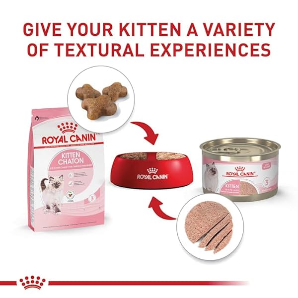 ROYAL CANIN FELINE HEALTH NUTRITION DRY KITTEN FOOD, SUPPORTS DIGESTIVE HEALTH, IMMUNE SUPPORT AND HEALTHY ENERGY, 3 LB BAG