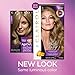Clairol Age Defy Expert Collection, 8 Medium Blonde, Permanent Hair Color, 1 Kit (PACKAGING MAY VARY)