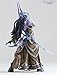 World of Warcraft WOW Series 3 Draenei Mage Action Figure PVC Model Game Toy