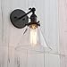 Permo Single Sconce with Funnel Flared Glass Clear Glass Shade 1-Light Wall Sconce Wall Lamp (Black）