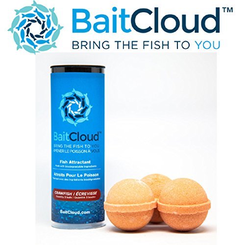 Top 10 Fishing Attractants of 2020 No Place Called Home