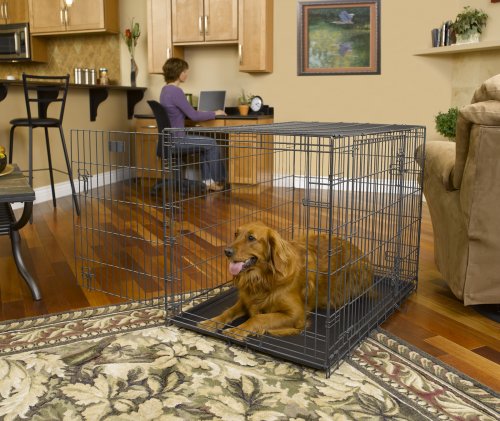 42 inch dog kennel