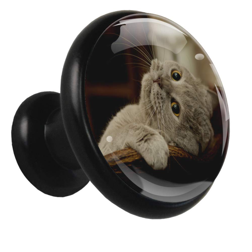 Süße Katze Kristall Knopf Metall 4 Stück Für Badezimmer Küche