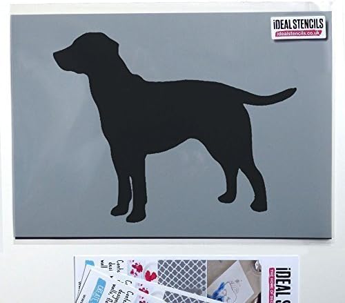 Ideal Stencils Labrador Dog STENCIL. Dog Home Decor & craft Stencil. Paint Walls Fabric & Furniture. Reusable Ltd. (XL/53X68CM)