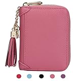 SafeCard Women's Credit Card Case Wallet 2 ID Window and Zipper Card Holder Purse