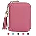 SafeCard Women's Credit Card Case Wallet 2 ID Window and Zipper Card Holder Purse