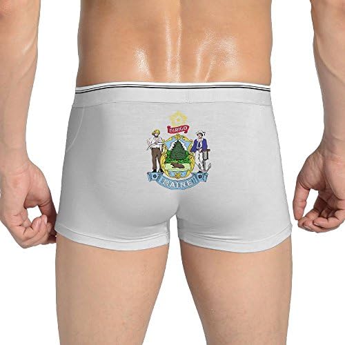 LULULUON Maine Flag Dirigo The USA Men's Cool Trunks-underwear