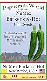 Barker's X-Hot Green Chile - 30 Seeds - NuMex Variety - Hot and Flavorful!