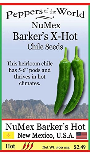 Barker's X-Hot Green Chile - 30 Seeds - NuMex Variety - Hot and Flavorful!