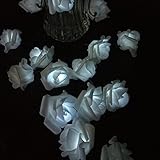 23ft 7M Solar Wedding Decorations Lights Rose Shape 50 LEDs Party String Light For Christmas Wedding Halloween Patio Party Light Strings Solar Powered (White)