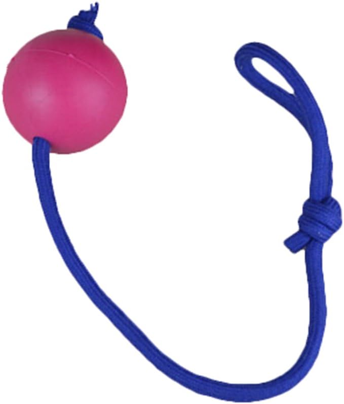 best value dry dog food