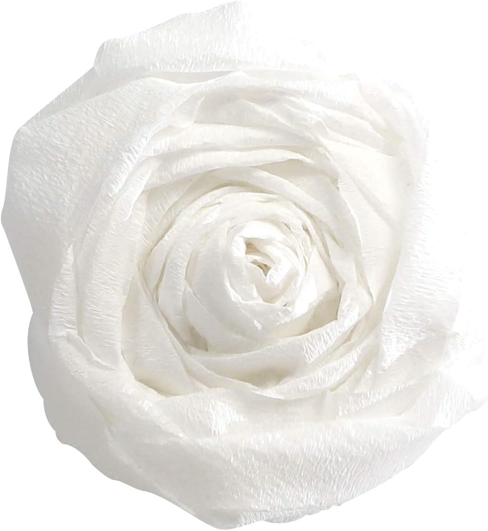 Clairefontaine Superior Crepe Paper, 10 Sheets White Amazon.co.uk
