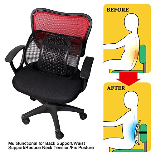 Double Mesh Lumbar Support Chair Cushion Waist Lower Back Supportive Cushions,Ice Silk Chair Seating Support Cushion for Car Home Office,Upgraded Breathable Seat Chair Sofa Lumbar BACK WAIST Support