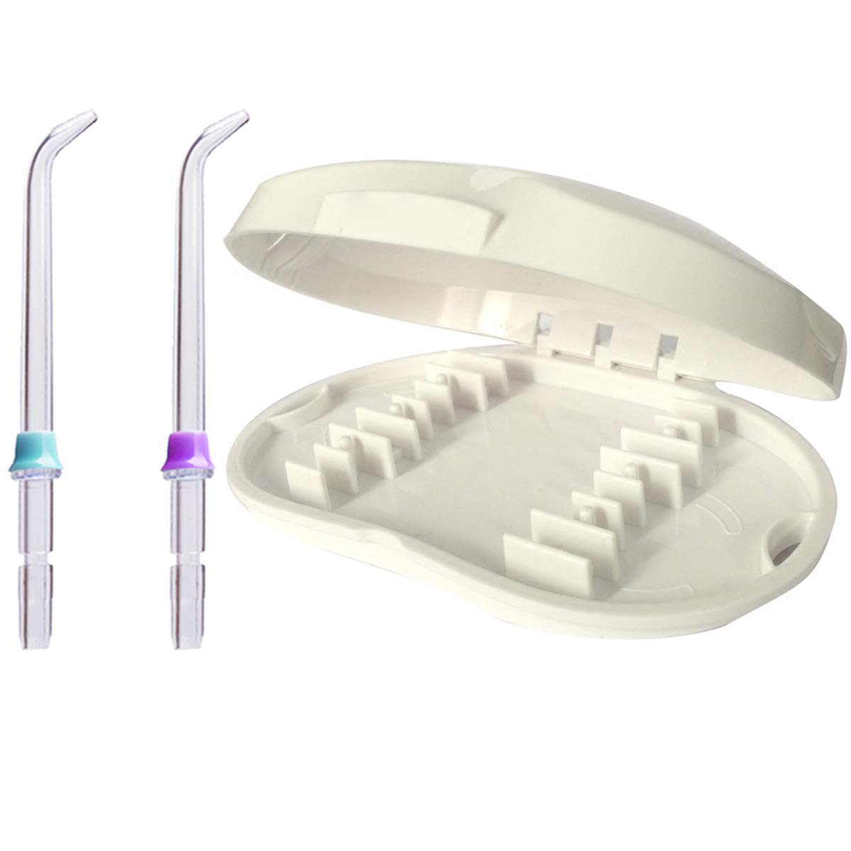 VINFANY Replacement Tips Storage Case for Waterpik WP-100 WP-100EC
