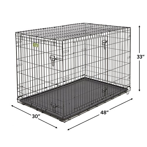 MidWest Homes for Pets iCrate Dog Crate Starter Kit 48Inch Dog Crate