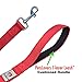 Dog Leash for Medium, Large and Small Dogs - 6 Foot Dog Leashes for Training and Daily Walks - Durable Sizes in Lightweight and Heavy Duty for Small and Large Breeds (1-Layer, Red)